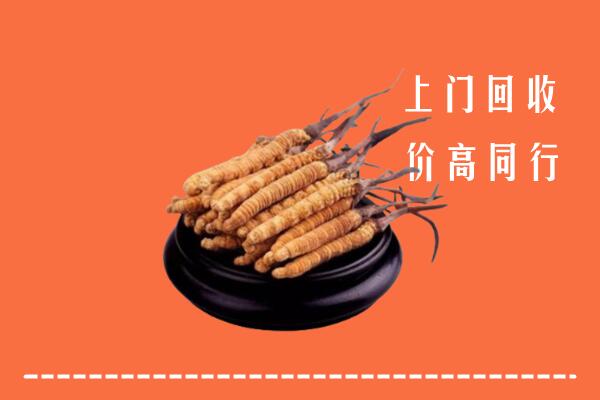 蜀山区回收冬虫夏草
